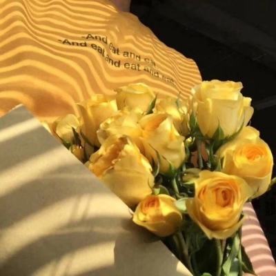 妖怪超级联赛官方下载
